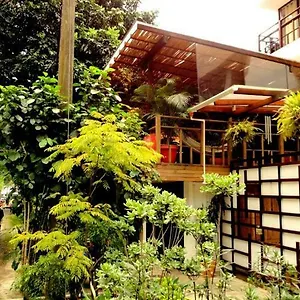 Casa Kiwi אכסניה מדיין